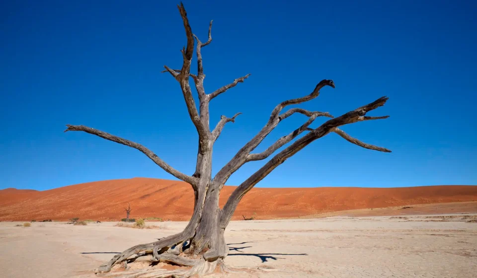 Why Coding and Digital Literacy Should Start Early for Kids