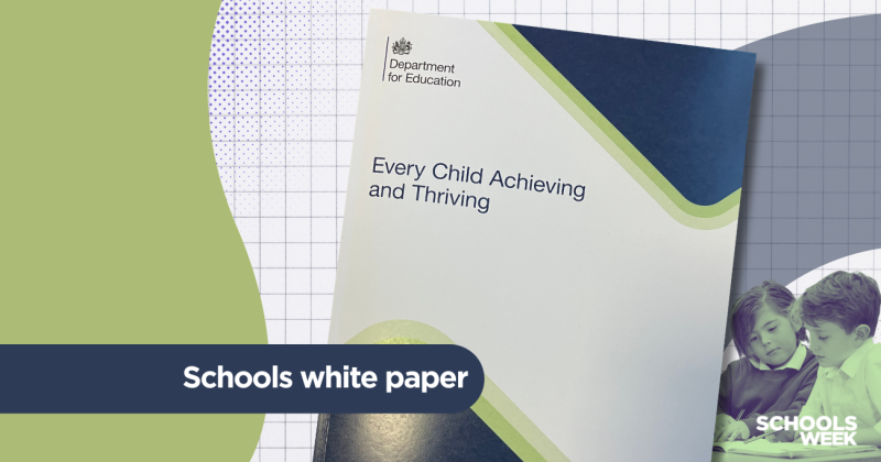 Schools white paper: The key schools policies
