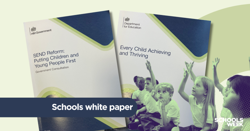 Schools white paper: What is happening to EHCPs under SEND reforms?