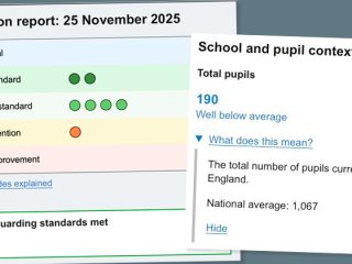 Special school Ofsted report cards drop mainstream comparisons
