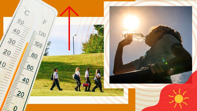 Revealed: Attendance rates plummet as temperature soars